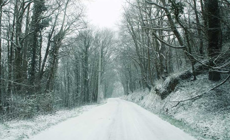 Де відключатимуть електроенергію в Кагарлицькій ОТГ та Ржищівській ОТГ з 14 по 20 грудня