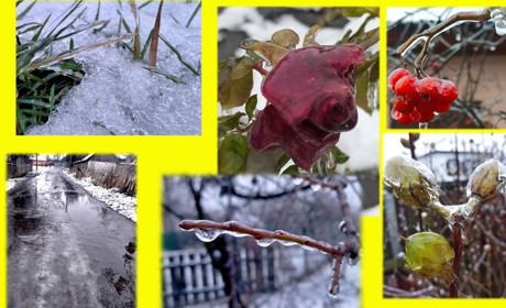 Природа дивує!