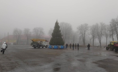Скільки коштує новорічна ялинка, яку встановили на центральній площі у Волновасі