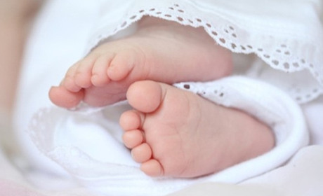 У сусідів:  про  16-ту дитину, секретаря, якого не обрали, експеримент з тестами на антитіла