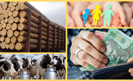 Експорт у Росію, борги та "падіння" господарства. Аналіз соціально-економічного становища Сарненщини