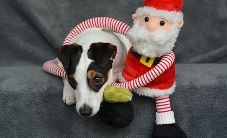 Що подивитися у День Святого Миколая: топ-5 сімейних фільмів