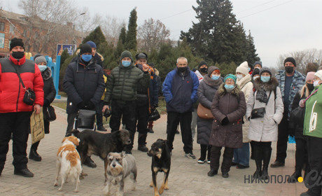  Фото дня: #SaveФОП вышли на акцию протеста в Никополе