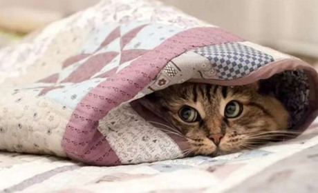 У суботу та неділю на Кагарличчині та Ржищівщині очікується незначне похолодання