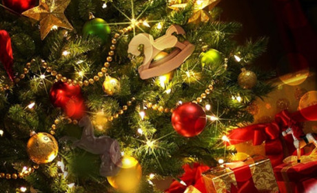 У містах Хмельниччини засяяли ялинки: хто і чим здивував