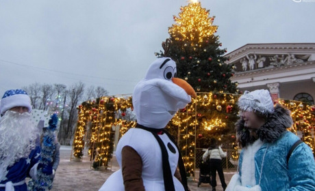Новогодняя красавица. Какую ёлочку признали лучшей в Украине?