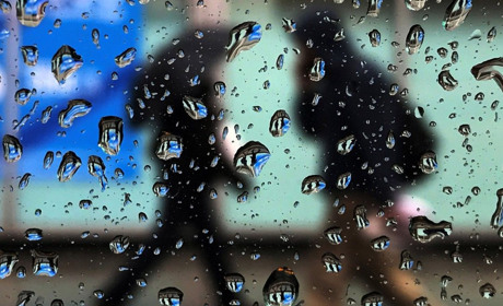  На наступному тижні на Кагарличчині та Ржищівщині очікується підвищення температури