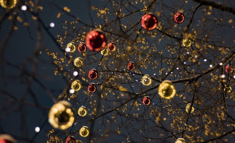 Погода у Старокостянтинові з 28 грудня по 3 січня: сильний вітер, дощ та ожеледиця