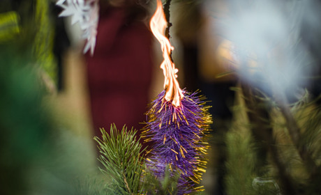 Салюти, гірлянди, свічки – пожежники просять южненців бути обережними на свята