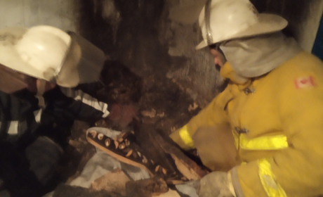 У Півцях Ржищівської ОТГ сталася пожежа по вулиці 1-го Травня