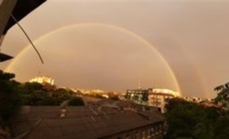 Зима в Криму почалась з весни. Фото новорічного Криму з різних його куточків