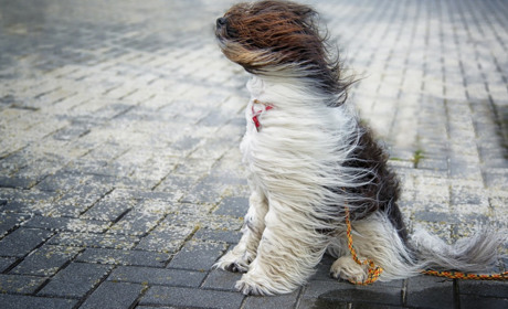 На Різдво прогнозують негоду