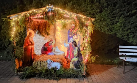 Шукаємо ялинки або як Старокостянтинів прикрасили до свят