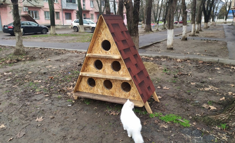 Котокоттеджи для бездомышей: в Измаиле строят и устанавливают теплые домики для кошек (видео)