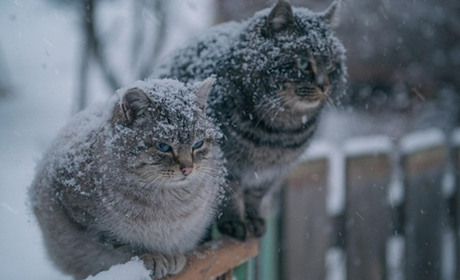 До кінця тижня в Южному зберігатиметься зимова погода