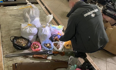 У Новограді співробітники СБУ вилучили 55 кілограмів бурштину та затримали двох "бізнесменів" 