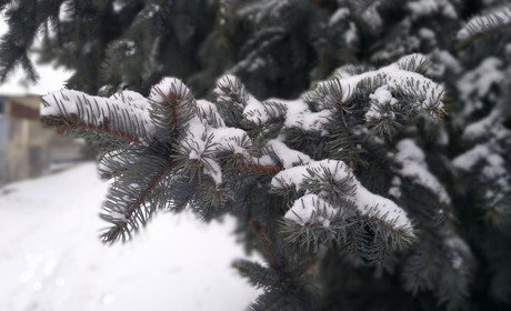 Фотопрогулянка засніженим Первомайськом