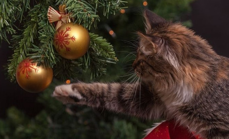 Топ-10 фото попаснян в Instagram
