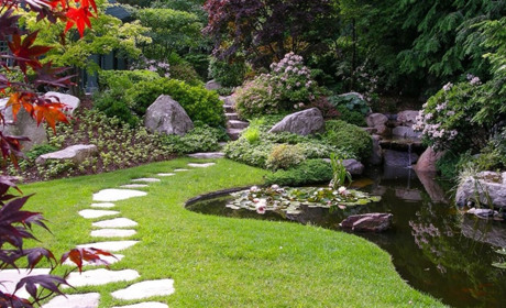 Цікаві ідеї ландшафтного дизайну дачної ділянки