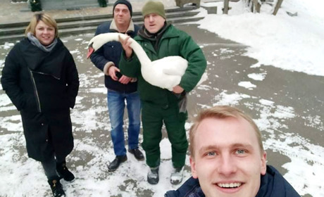 Золотоніська лебідка, яка ледь не загинула у лютий мороз,  «прописалася» у Межигір'ї