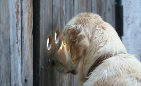 У сусідів: голів адміністрацій знімають, земельні ділянки роздають, а пиятика призвела  до смерті