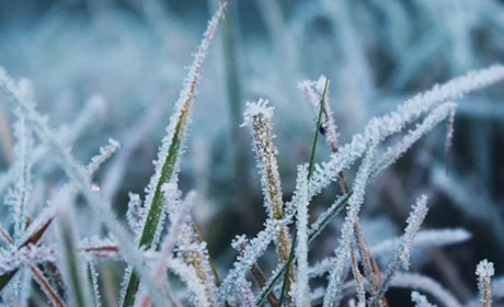 На Одещині очікується подальше потепління