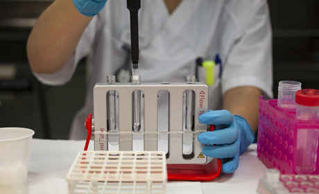 COVID-19 на Гадяччині: дані станом на 22 січня