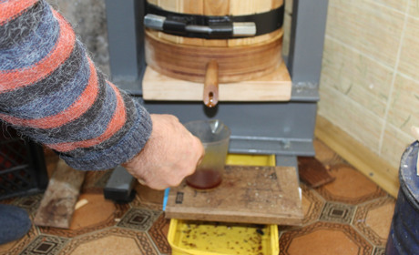 Троїчанин ділиться секретами як виростити розторопшу у себе на ділянці та отримати якісну олію