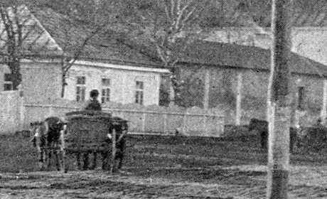 Історичні пригоди: про прадіда Леніна, старокостянтинівських євреїв і Тараса Шевченка