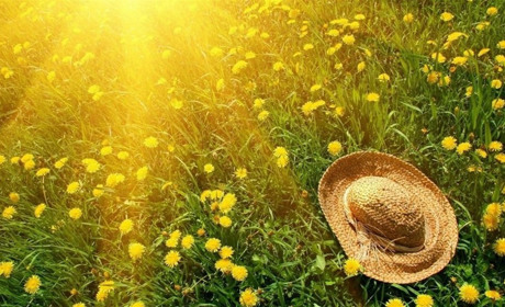 У Херсоні вчитимуть гідів за міжнародними стандартами. Наша редакція також долучилась до навчання