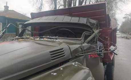 Через негоду гілка, що впала, покалічила двох шосткинців. Що відомо про їх стан?