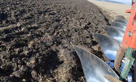 З 1 липня відкривають ринок землі. Скільки може коштувати гектар ріллі, саду, сіножаті, пасовища?