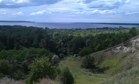 На Переяславщині незаконно здавали в оренду 1,5 гектара лісу