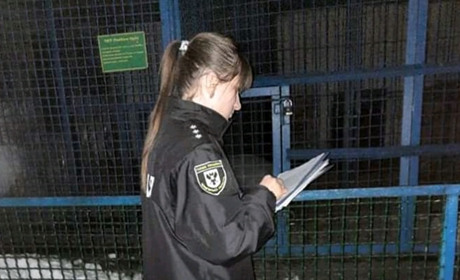 Поліція відкрила кримінальне провадження по факту загибелі працівника Менського зоопарку