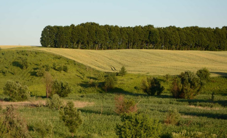 Як звучить Кагарличчина: Дорогі серцю місця