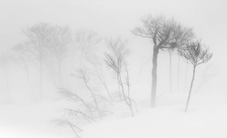 Якою буде погода 6 і 7 лютого на Кагарличчині і Ржищівщині