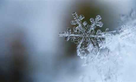 Прогноз погоди на тиждень: завиватиме хурделиця й пануватиме мороз