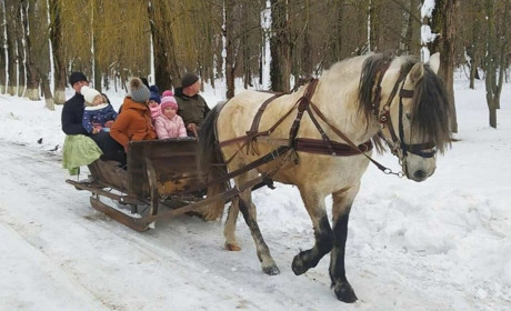 "Біляївські Карпати": є місця, де ожеледиця може бути в радість вам та дітям 