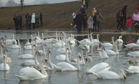 «Ще так багато в нашому селі машин не їздило,  як у ці вихідні», — кажуть жителі Чорториї