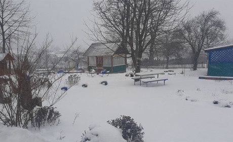 Школам Кіцманщини та інших районів рекомендують перейти на дистанційне навчання з 15 лютого