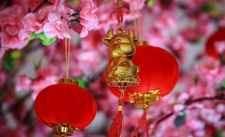 Рік Білого Металевого Бика наступив: яким він буде для 12 тварин зодіаку (гороскоп на 2021)