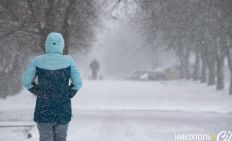 Фото дня: февральская метель в Никополе