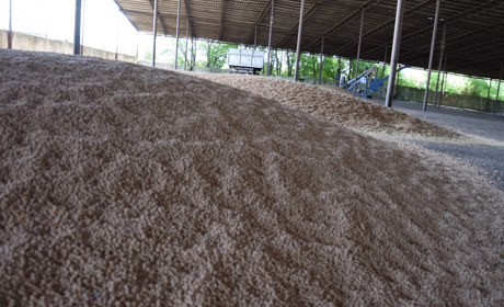 Троїцькі аграрії змінили назву своєї організації та обрали нового очільника