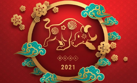 Настав рік Білого Металевого Бика: яким він буде для нетішинців. Китайський гороскоп на 2021 рік