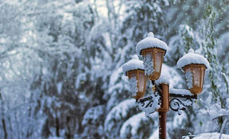 Протягом наступного тижня на Кагарличчині та Ржищівщині очікуються нічні морози до -25
