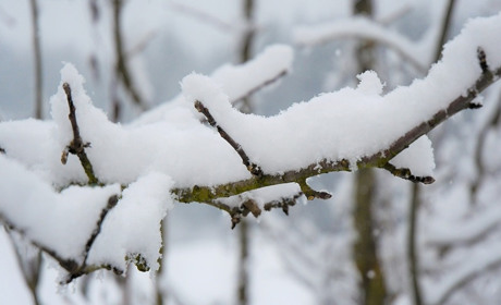Погода у Старокостянтинові з 15 по 21 лютого: морози посилюватимуться