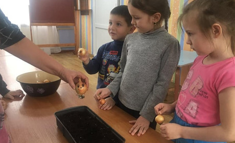 «Барвінчата» самі вирощують вітаміни у дитсадку 