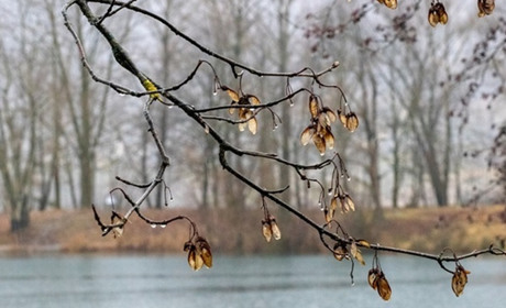Погода на тиждень: потепління та дощі
