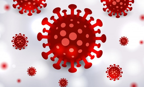  Статистика захворювань на ковід в Южному знову збільшилася