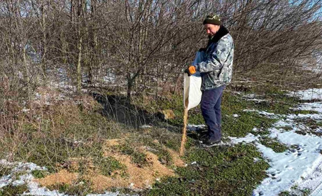 “Їдальню” для фазанів під відкритим небом влаштували сірогозькі фермери